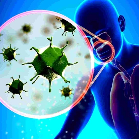 Virus corona phá hủy hệ hô hấp như thế nào?
